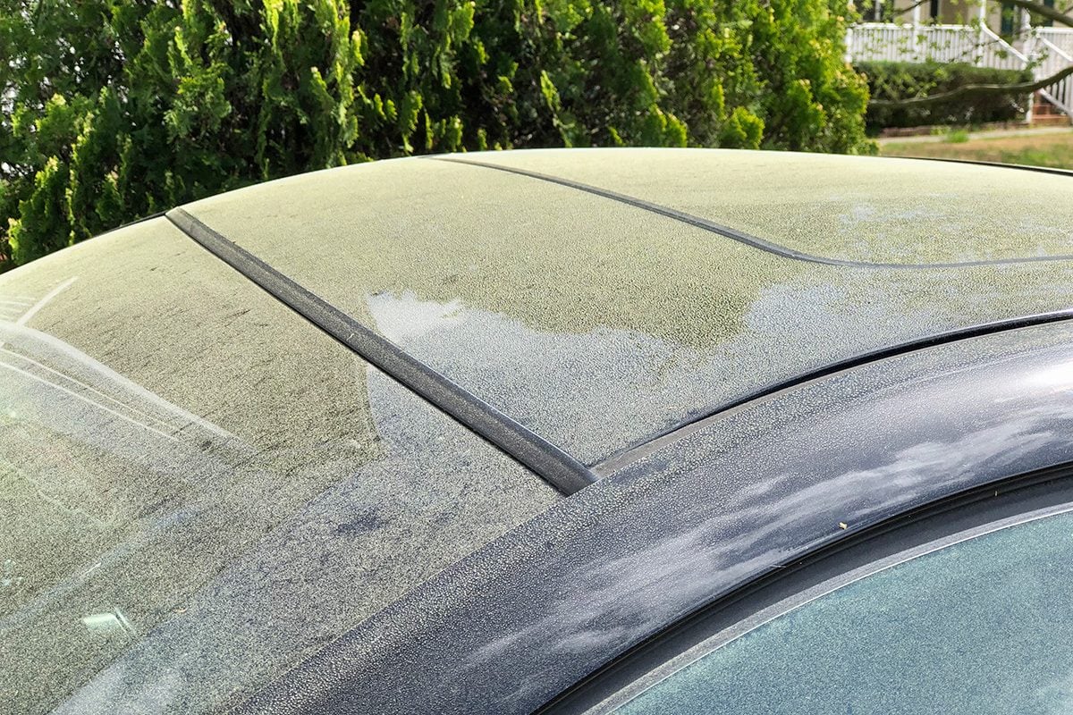 How Pollen Damages Your Car and How to Stop It