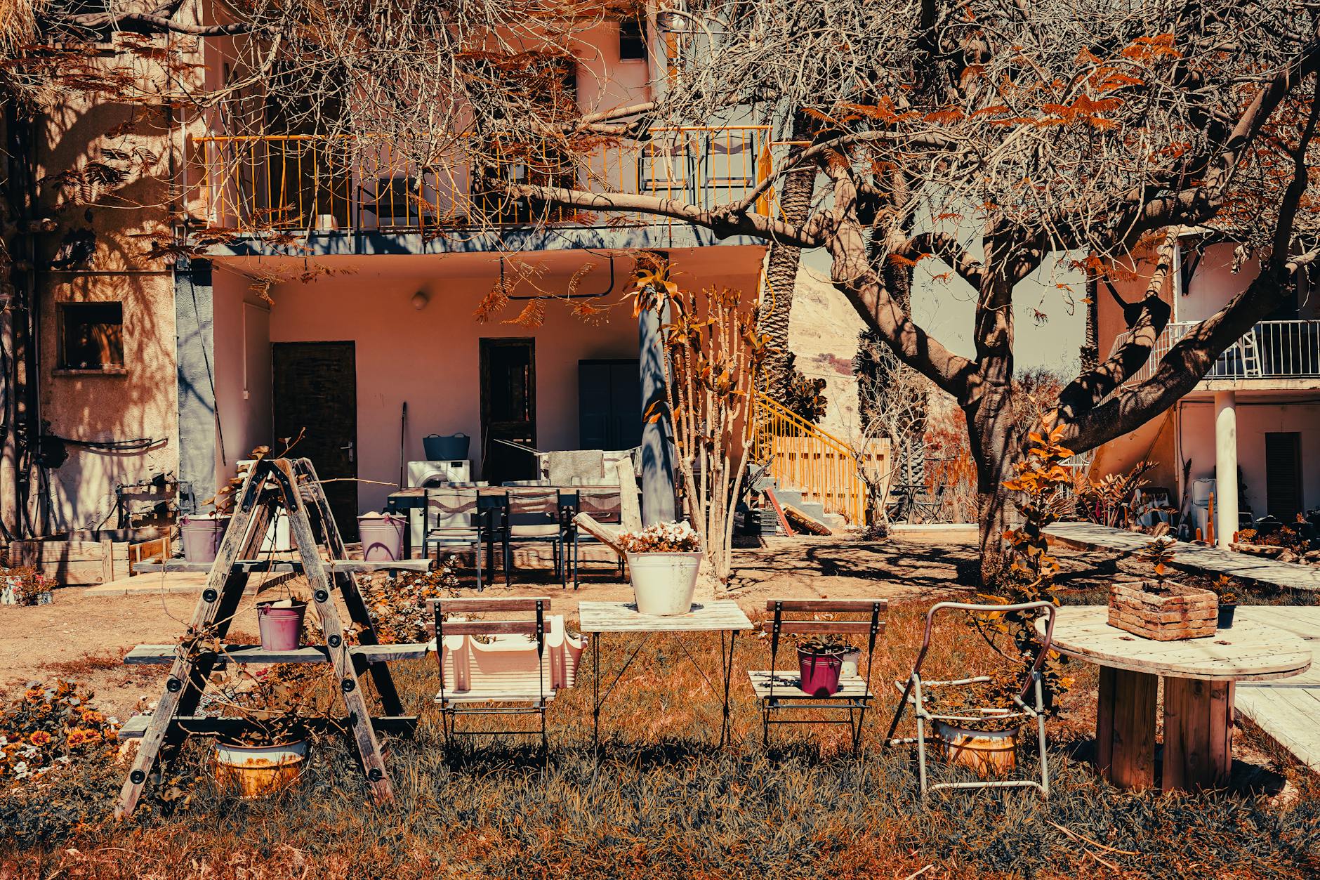 Rustic backyard space with garden decor and trees in Ein Gedi, Israel.